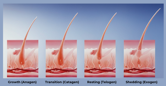 Hair Loss Decoded: Breaking Down the Science