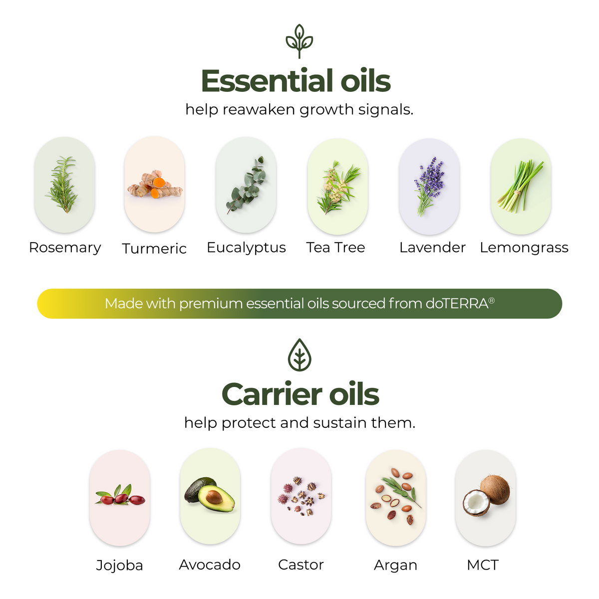regener8 Essential & Carrier Oil Scalp System For Thinning Hair – 1 Month Supply