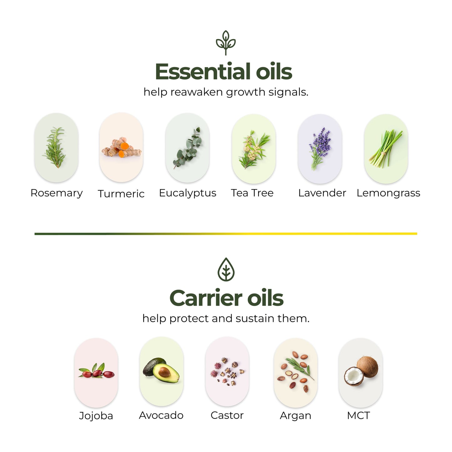 regener8 Essential & Carrier Oil Scalp System For Thinning Hair – 1 Month Supply